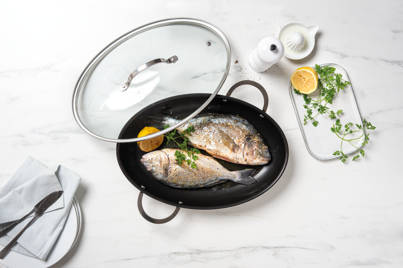 Fish pan lid