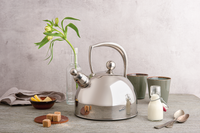 Suzy water kettle  2 l